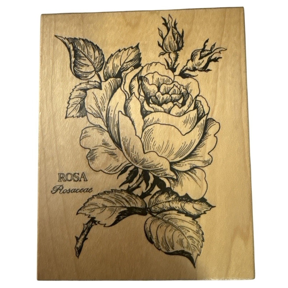 PSX Rosa Rosaceae Wood Mounted Rubber Stamp K-023 Roses‎ Flower Garden 1992